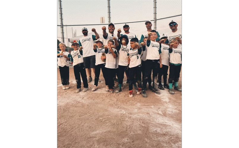 Lebanon Youth Baseball > Home